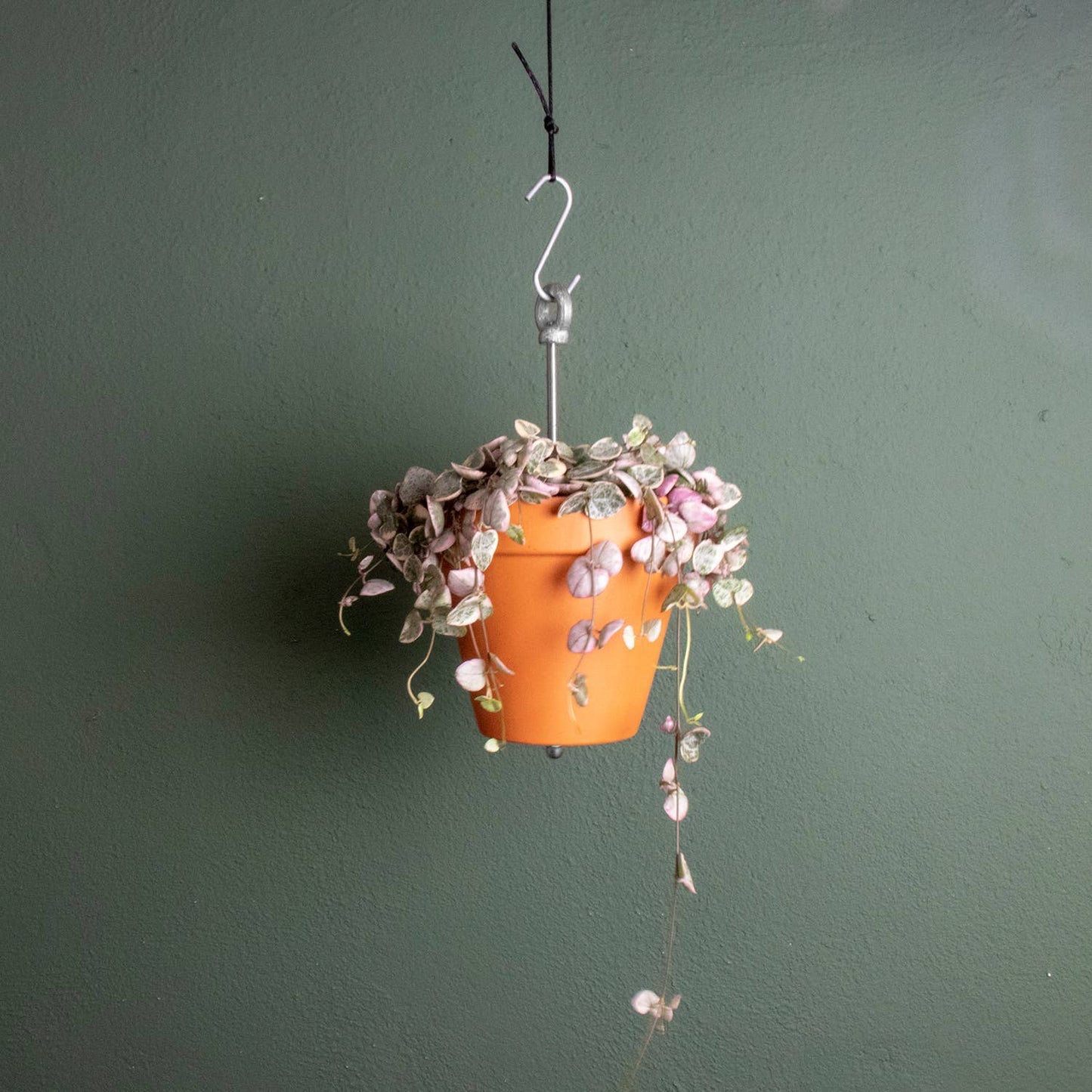 Hanging planter system for plant pots