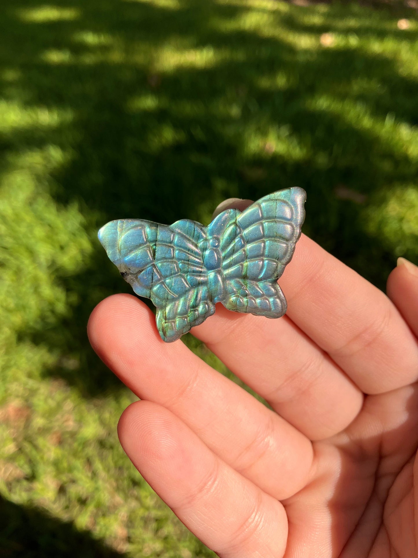 Labradorite Butterfly Carving