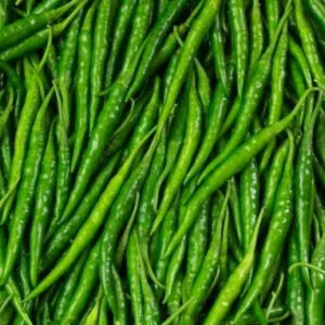 Indian Long Green Chili Seeds for Planting – High Yield, Non-GMO Vegetable Seeds for Home Garden and Farming