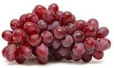 Red Globe Grape Fruit Seeds – Non-GMO, Heirloom Seeds for Garden Planting & Home Vineyards