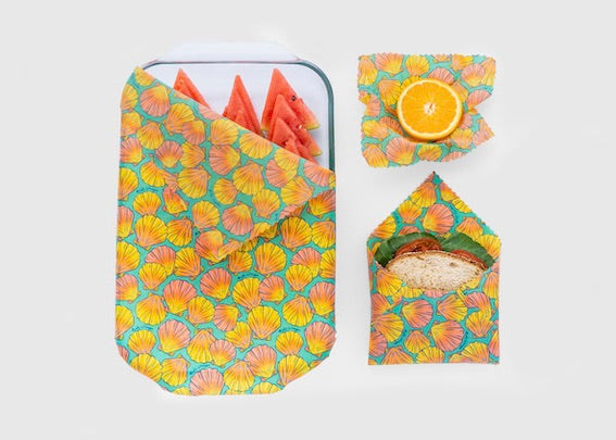 BULK ROLL Beeswax Wrap - Shells Print
