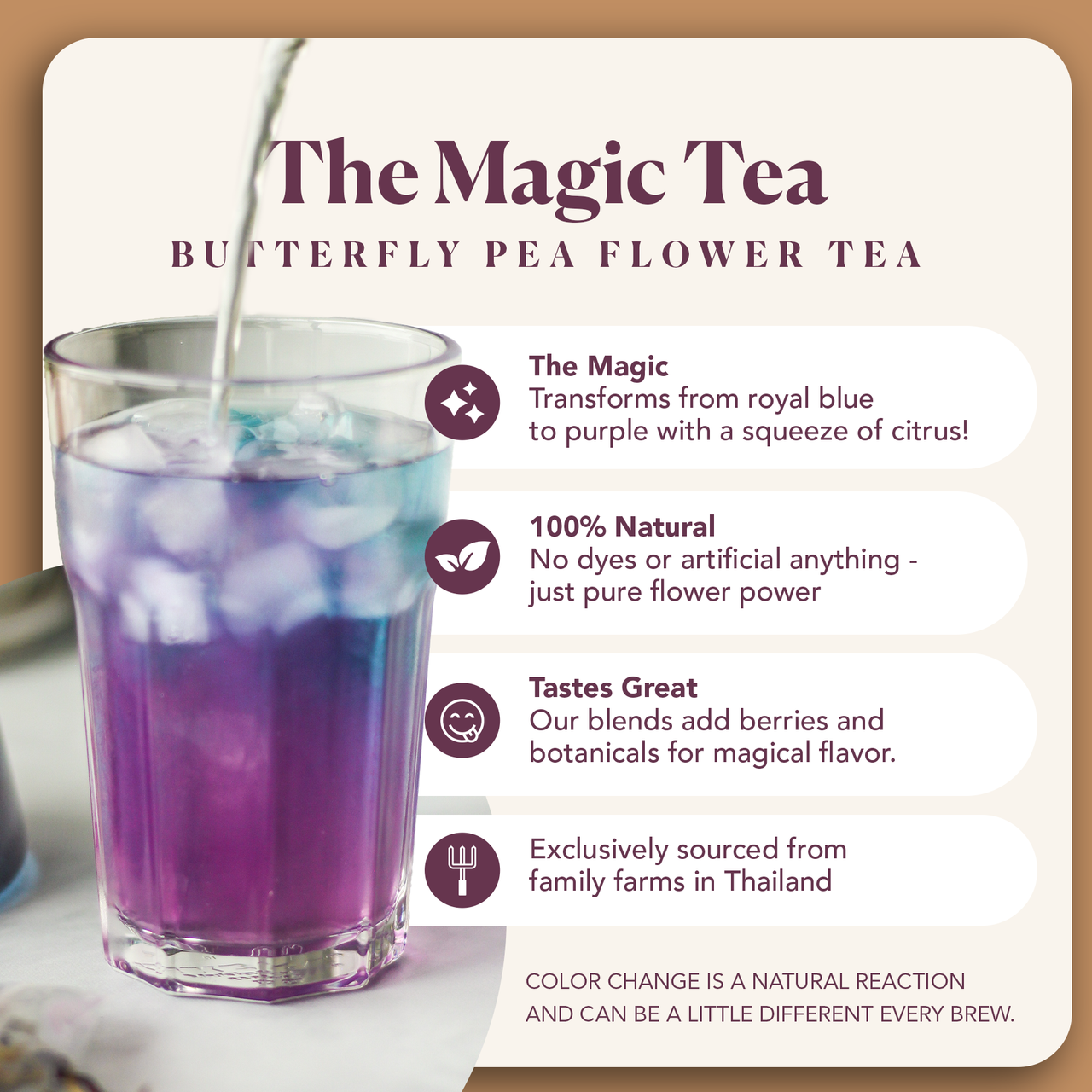Magical Butterfly Herbal Tea (Butterfly Pea Flower / Berries)