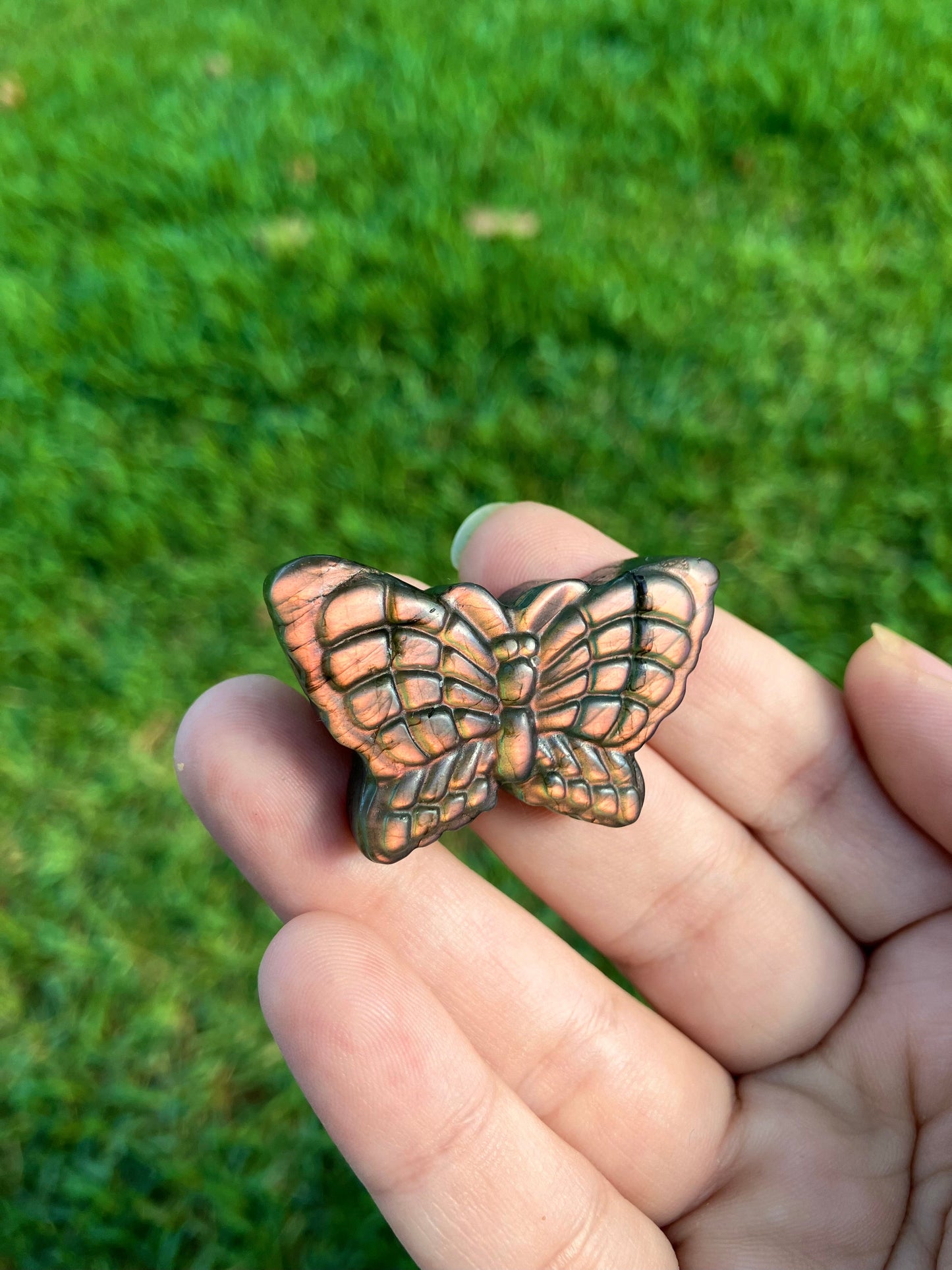 Labradorite Butterfly Carving