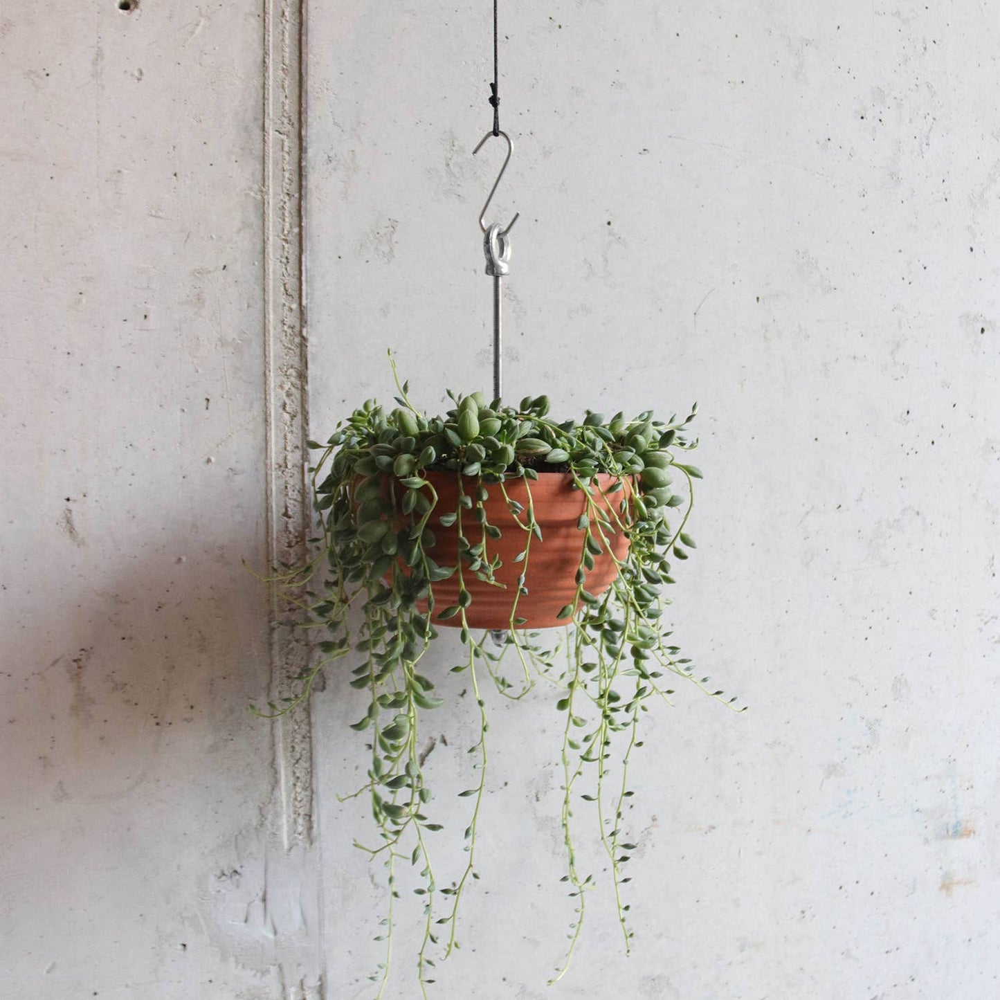 Hanging planter system for plant pots