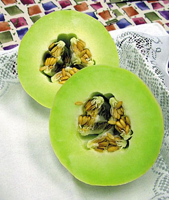 Green Flesh Honeydew Melon Seeds – Organic, Non-GMO Fruit Seeds for Garden Growing