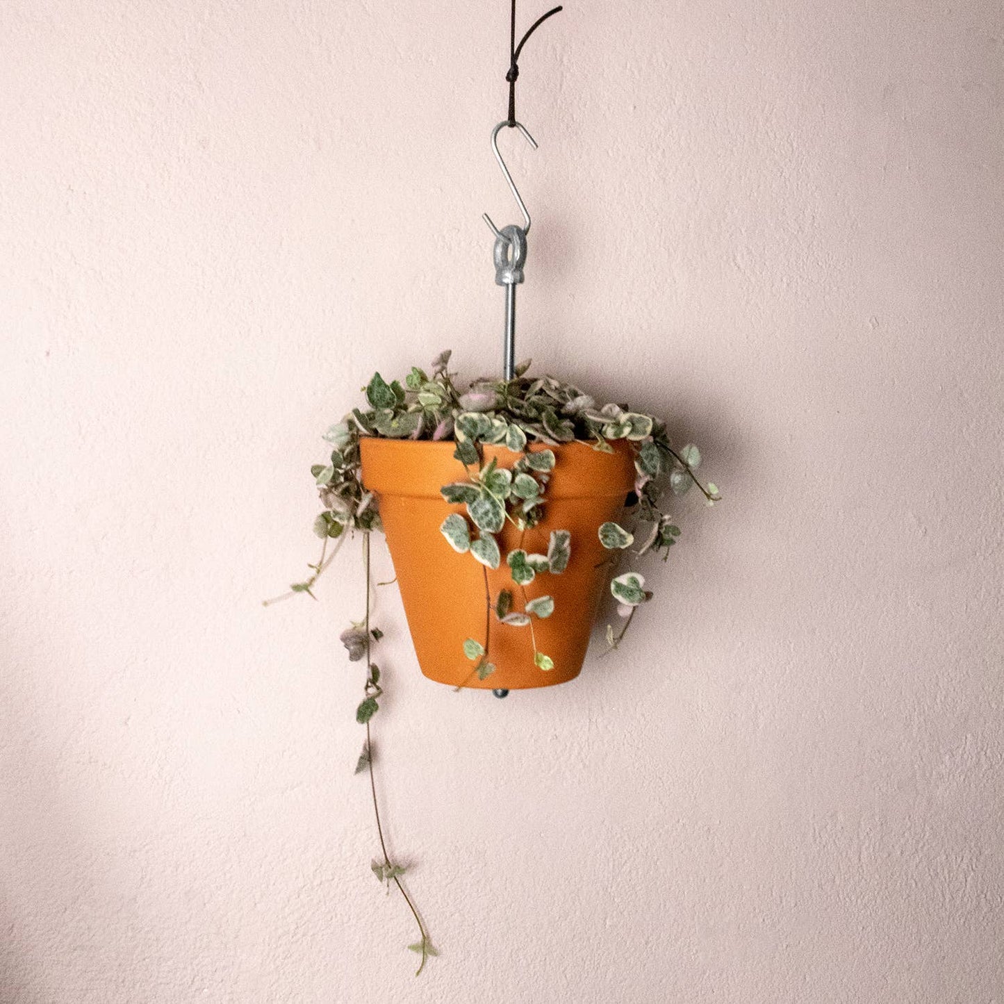 Hanging planter system for plant pots