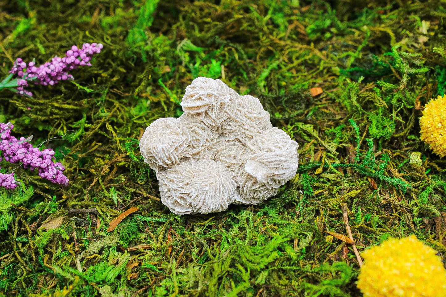 Desert Rose Selenite