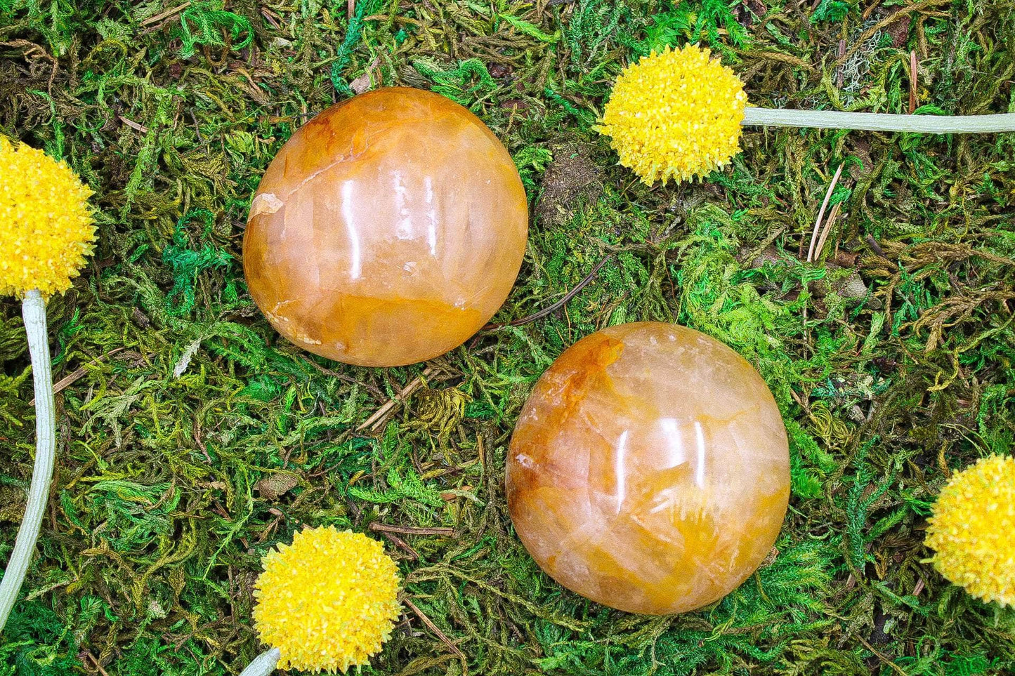 Golden Healer Palm Stone