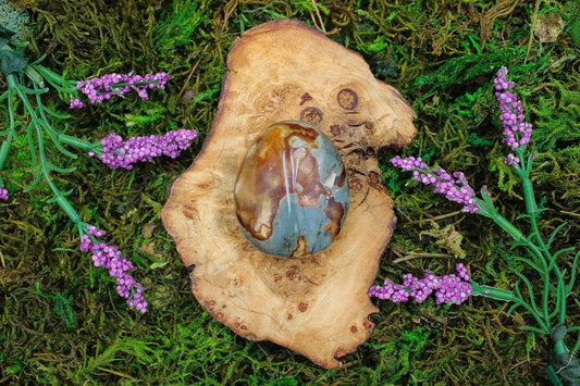 Polychrome Jasper - 2.25"