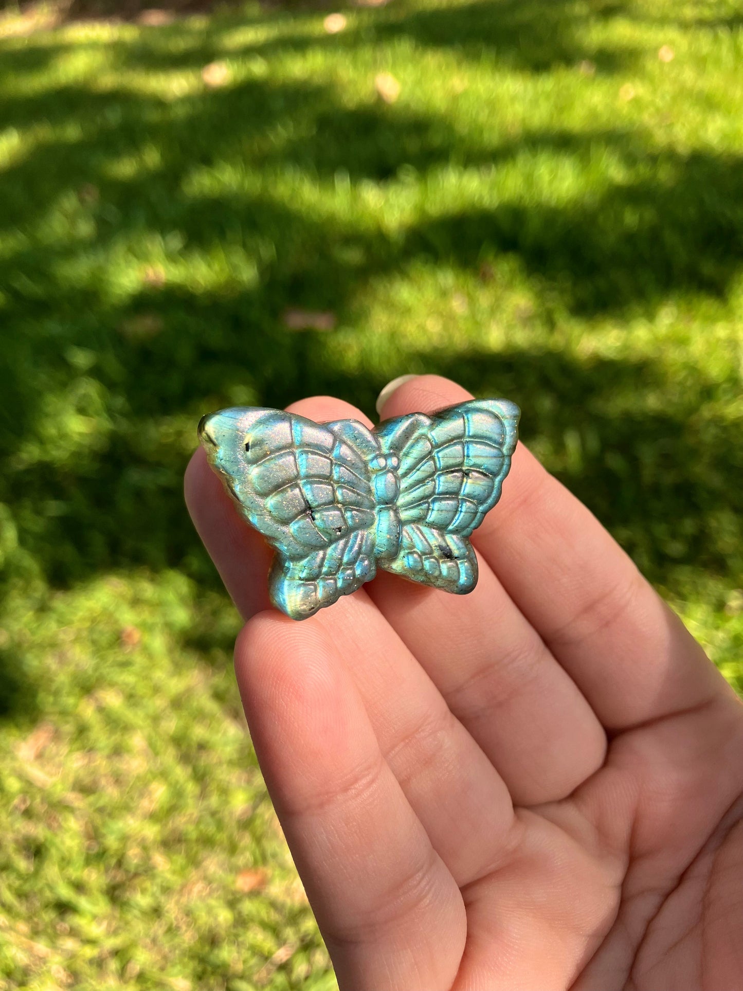 Labradorite Butterfly Carving