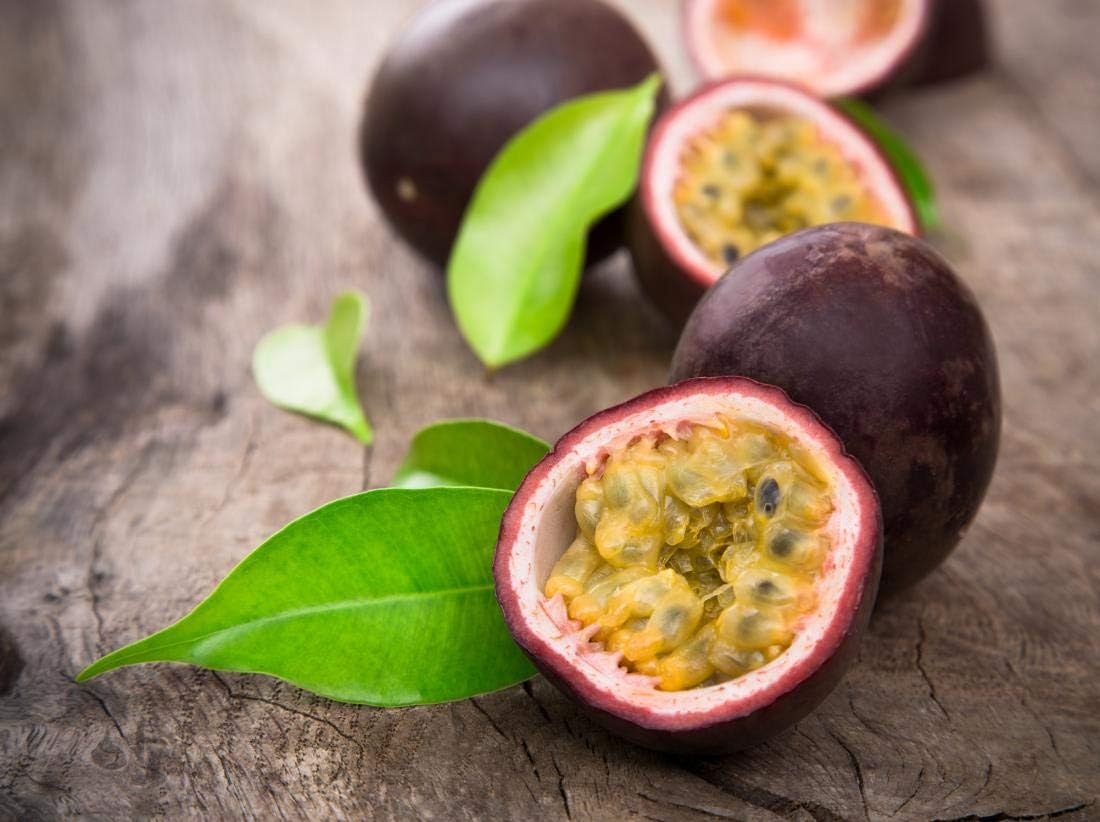 Purple Passion Fruit Seeds for Planting – Heirloom Non-GMO High Germination Organic Garden Seeds