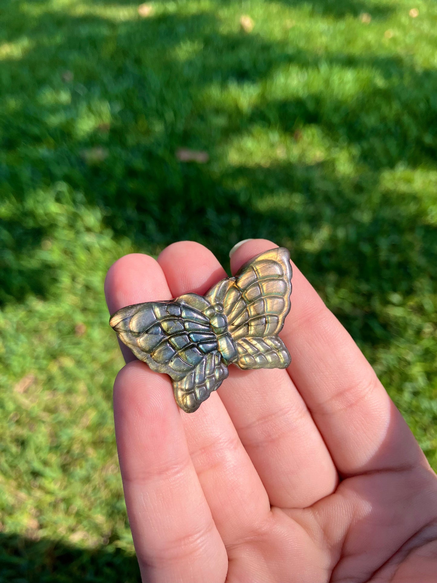 Labradorite Butterfly Carving