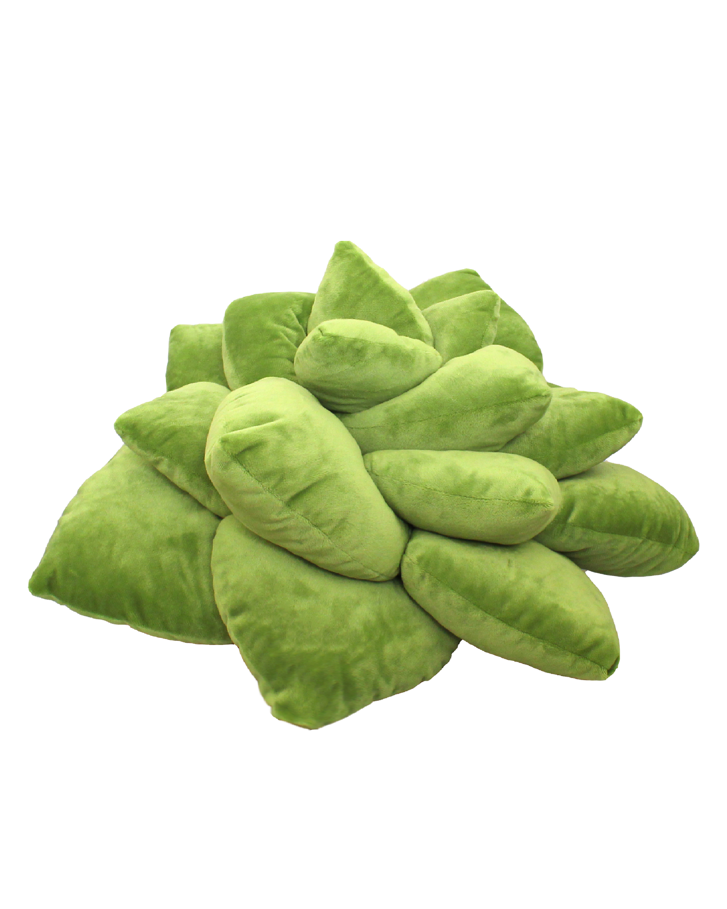 Big Pop Succulent® - Olive Green