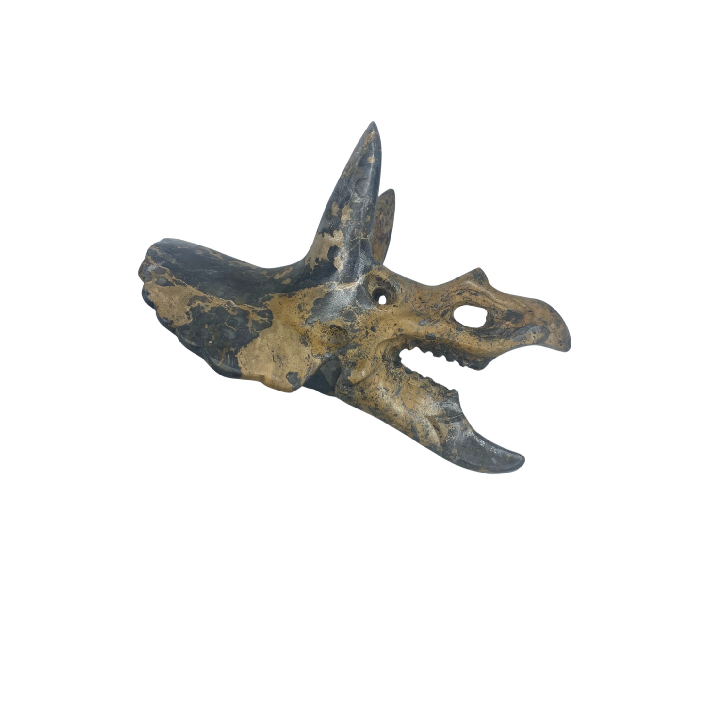 Gemstone Triceratops Skull