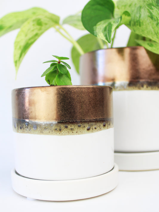Bronze White Ceramic Plant Pot and Saucer