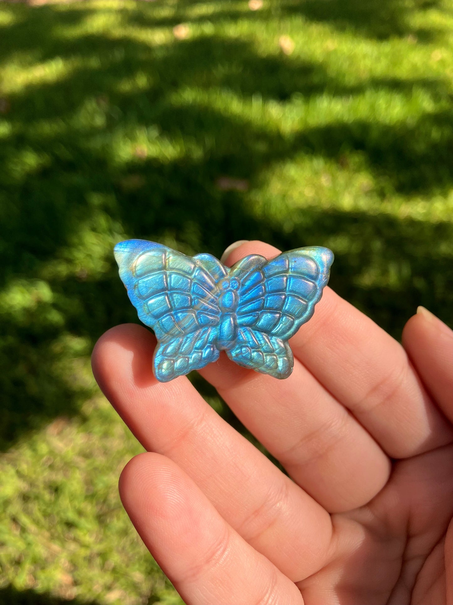 Labradorite Butterfly Carving