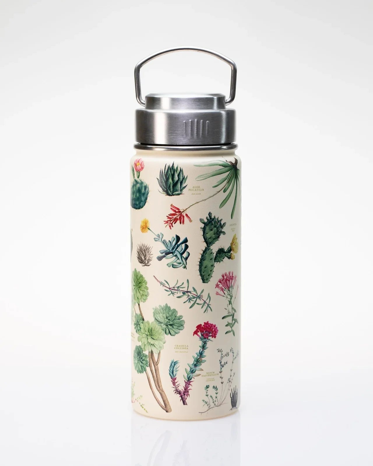 Water Bottle 18oz - Cactus & Succulents