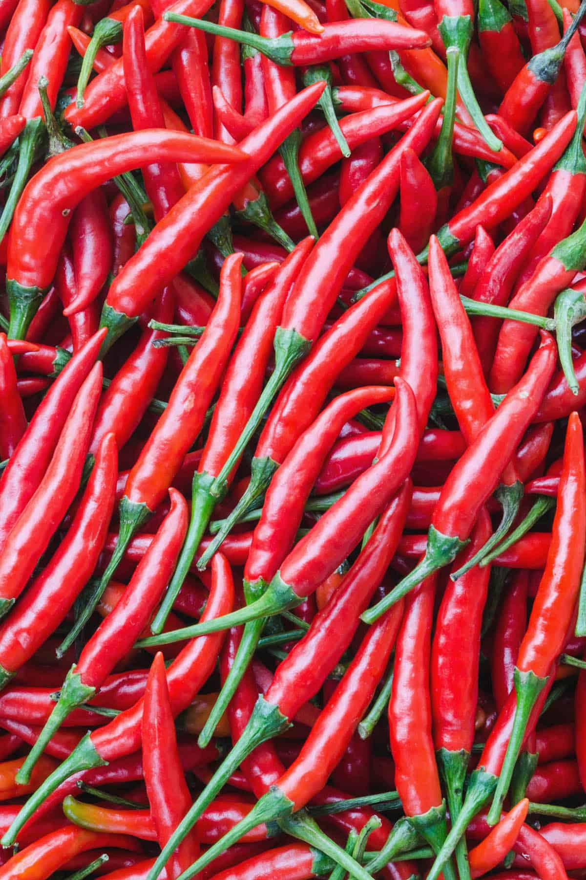Cayenne Pepper Seeds – Long Red Chili Vegetable Seeds for Planting, High Yield, Non-GMO, Heirloom Hot Pepper Variety