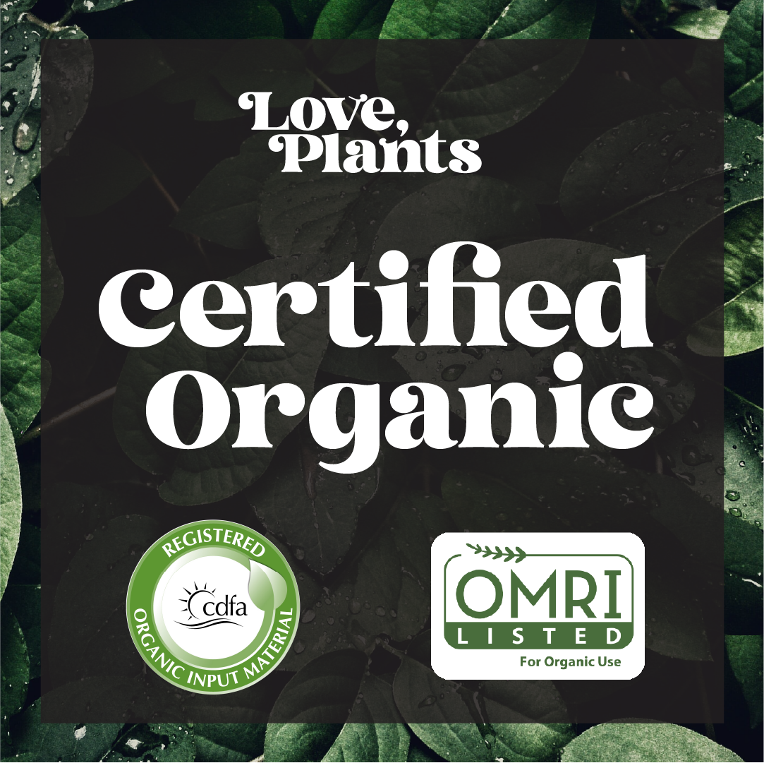 Houseplant Care Kit – Complete Indoor Plant Fertilizer & Maintenance Set