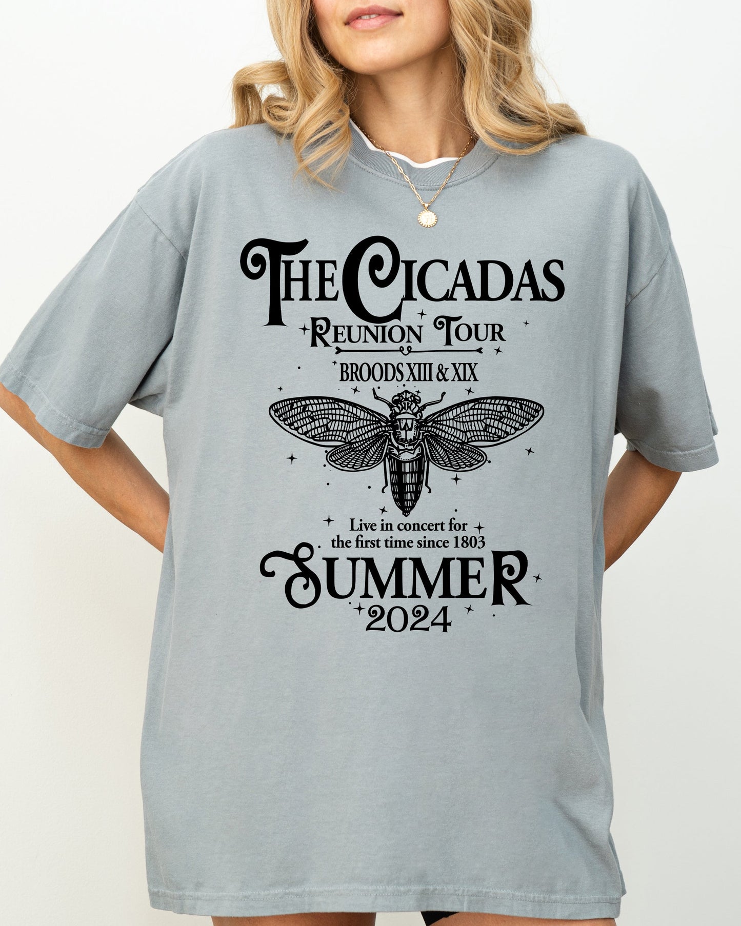 Cicadas Reunion Tour - Comfort Colors T-Shirt