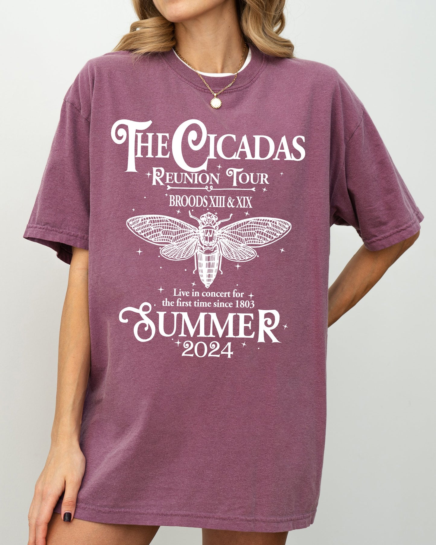 Cicadas Reunion Tour - Comfort Colors T-Shirt