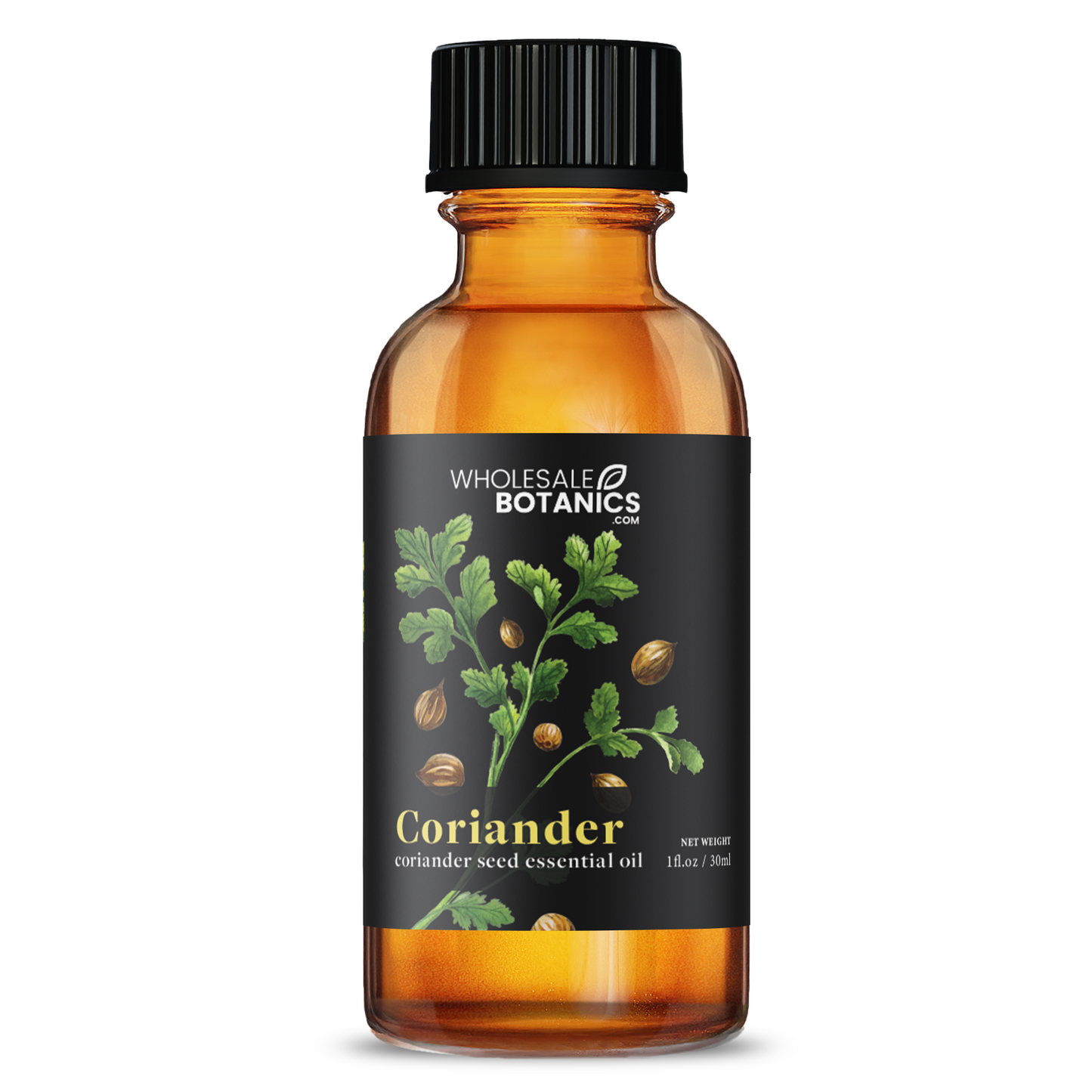 Coriander Essential Oil