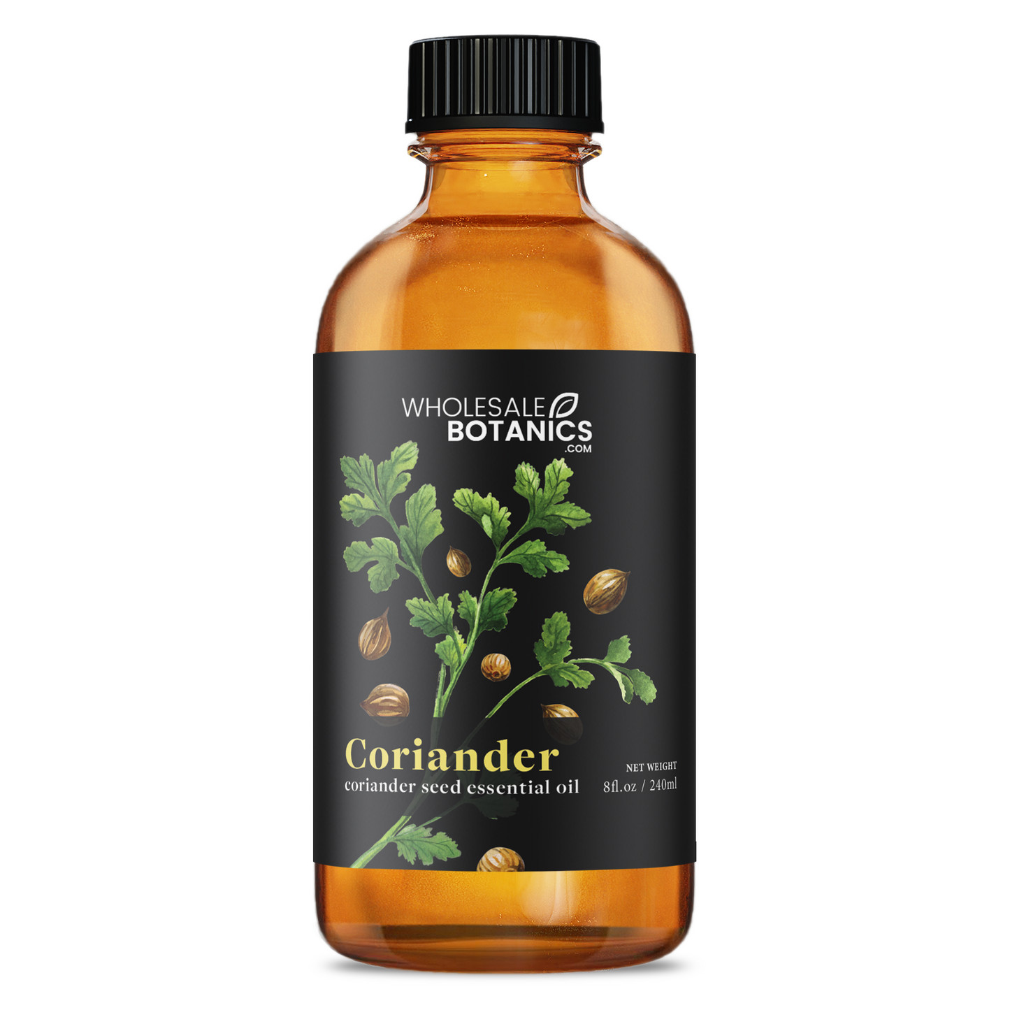 Coriander Essential Oil