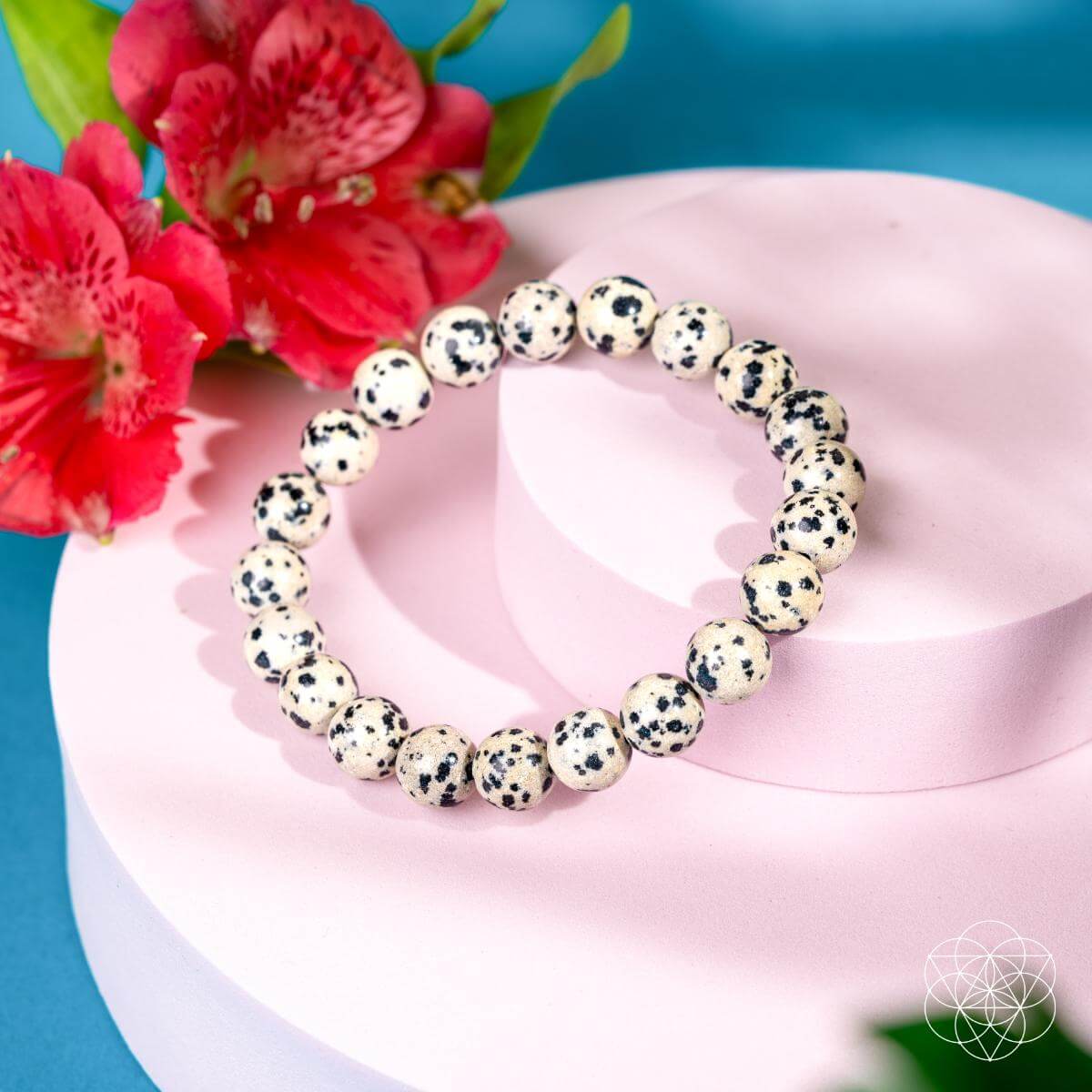 Dalmatian Jasper Bracelet