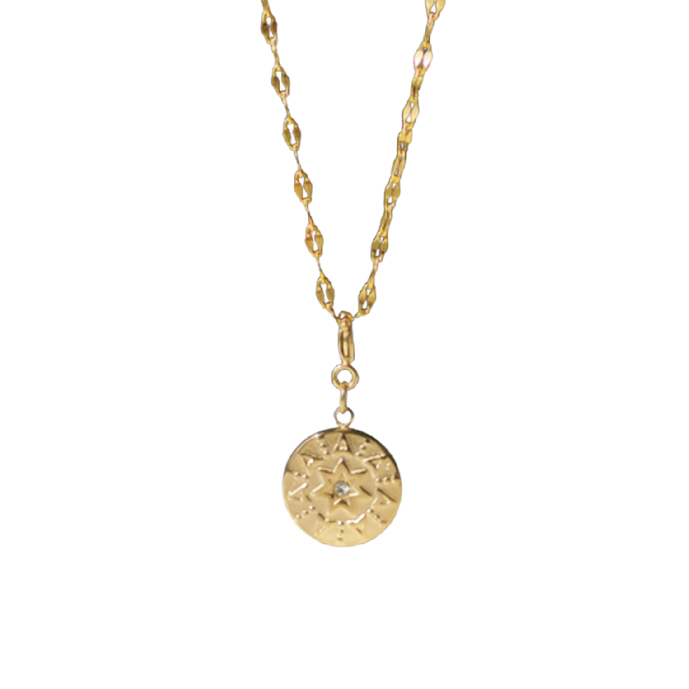 Serpent Coin Necklace