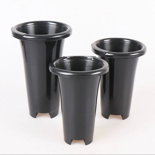 Orchid Pot Set of 4