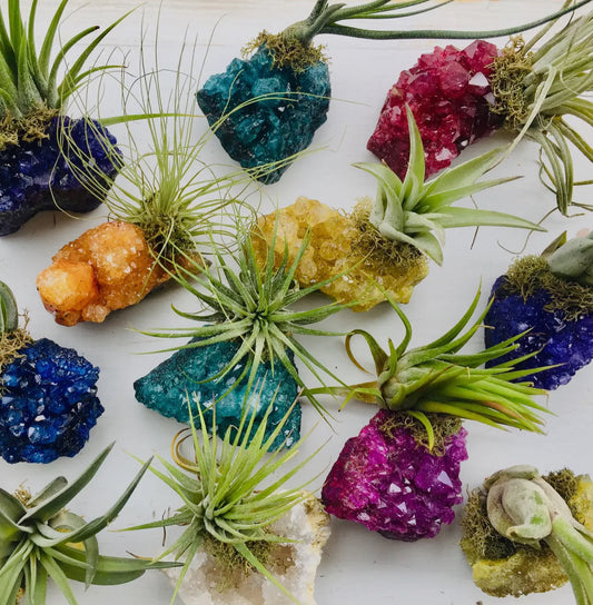 Crystal Air Plants -Magical Druzy Crystal Clusters