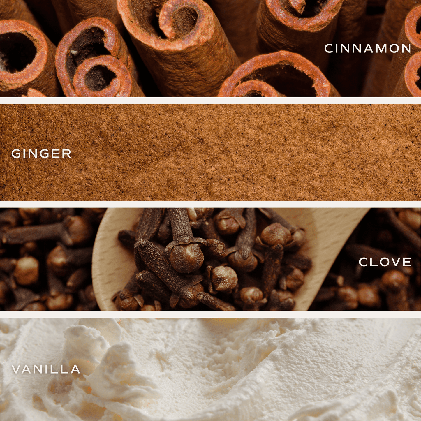 "Gingerbread & Spice" 15oz - Ginger, Nutmeg, Vanilla, Orange, Eucalyptus