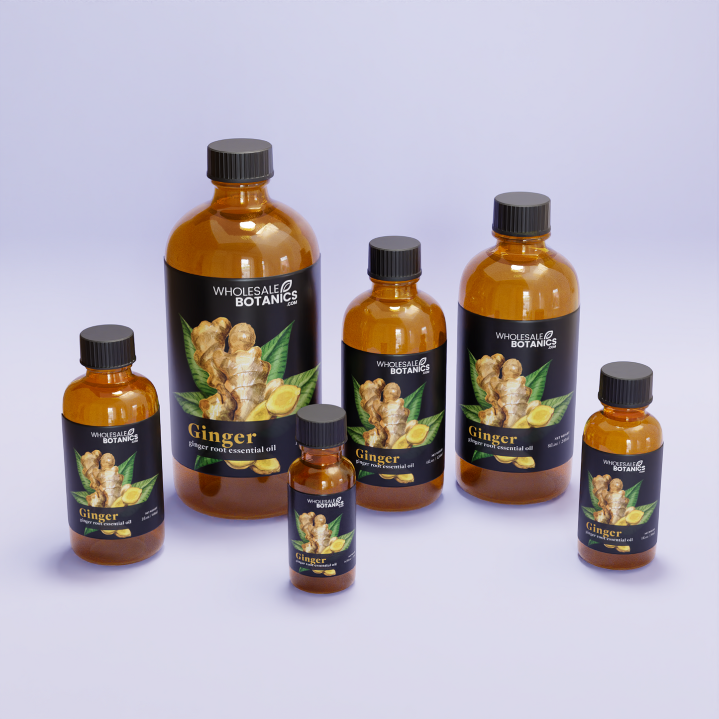 Ginger Root Essential Oil