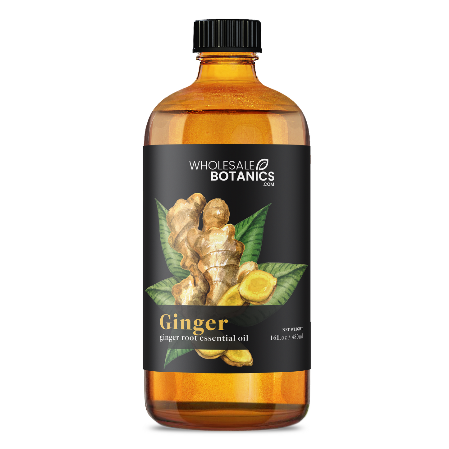 Ginger Root Essential Oil