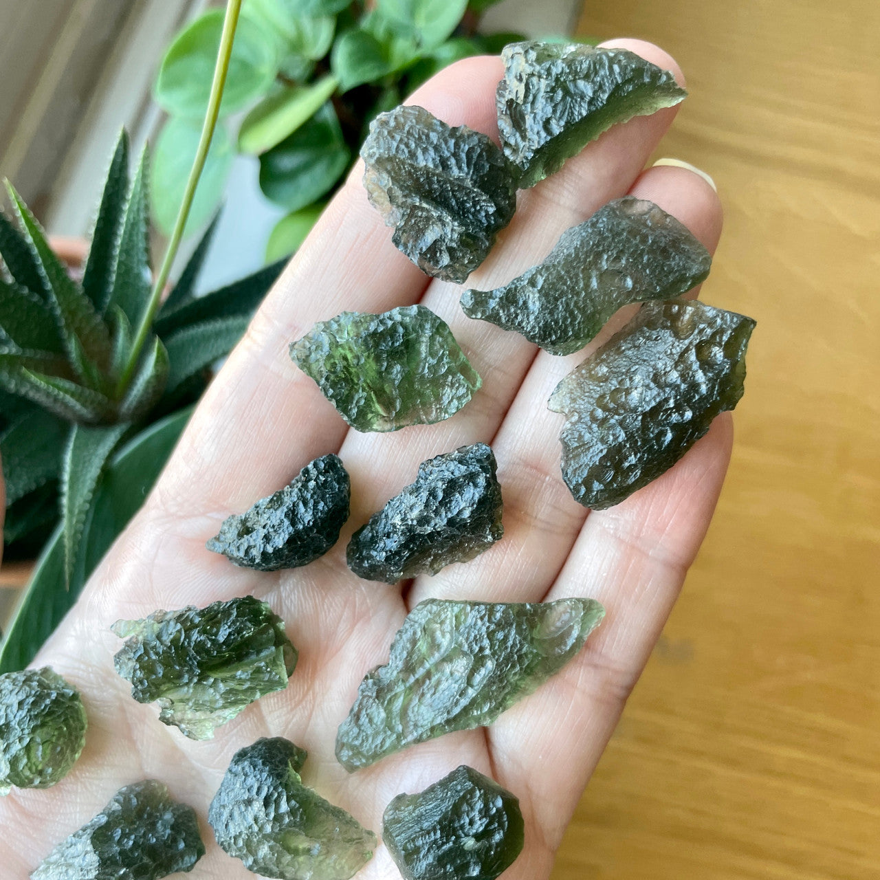 Geniune Moldavite Pieces