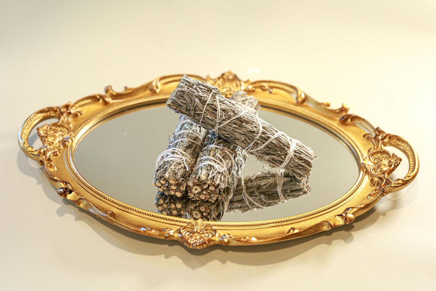 Black Sage (Mugworth) - 4" Sustainably Harvested