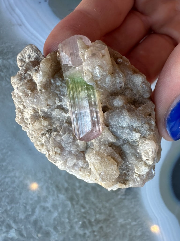 Watermelon Tourmaline on Albite Matrix 51g