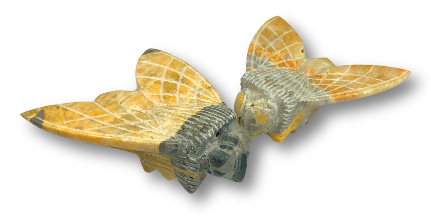 Bumblebee Jasper Bumblebee