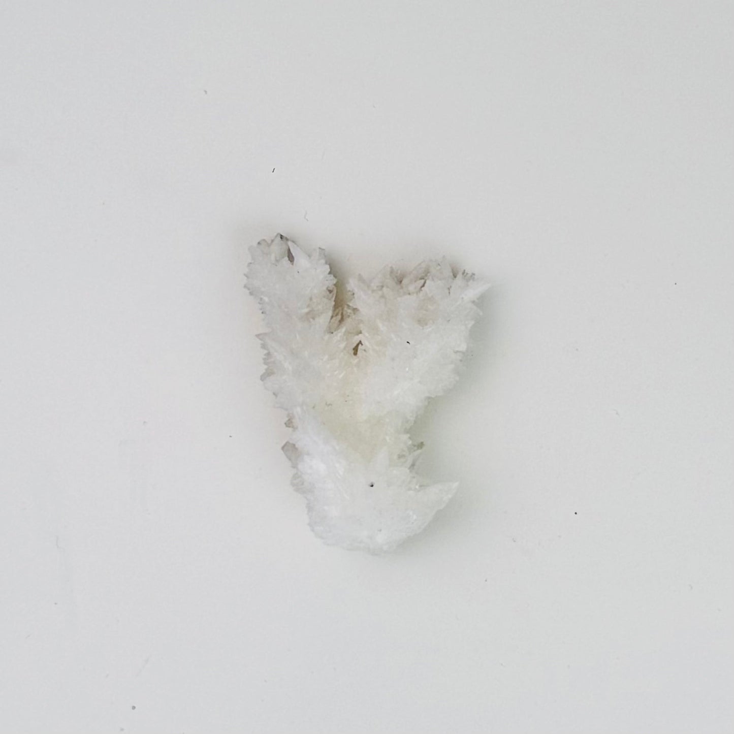 White Aragonite