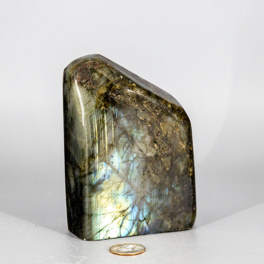 Labradorite  "XL" Freestanding Freeform