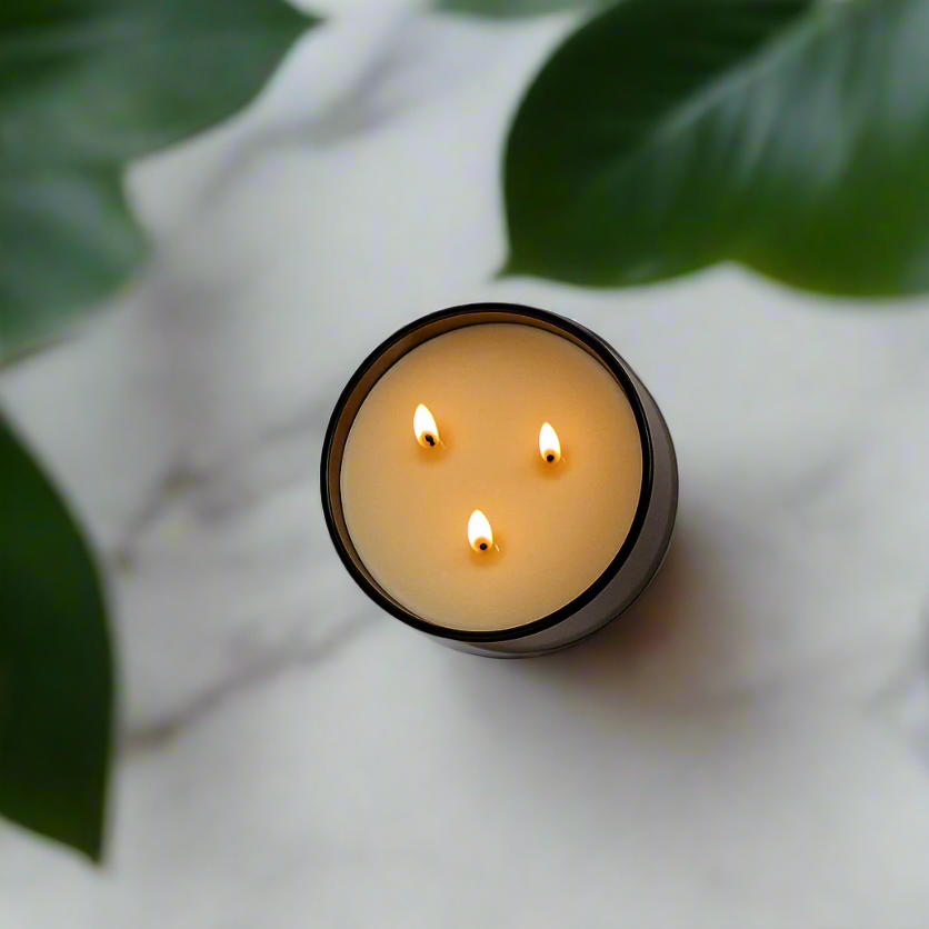 Rosemary + Lemon - 3-Wick Candle