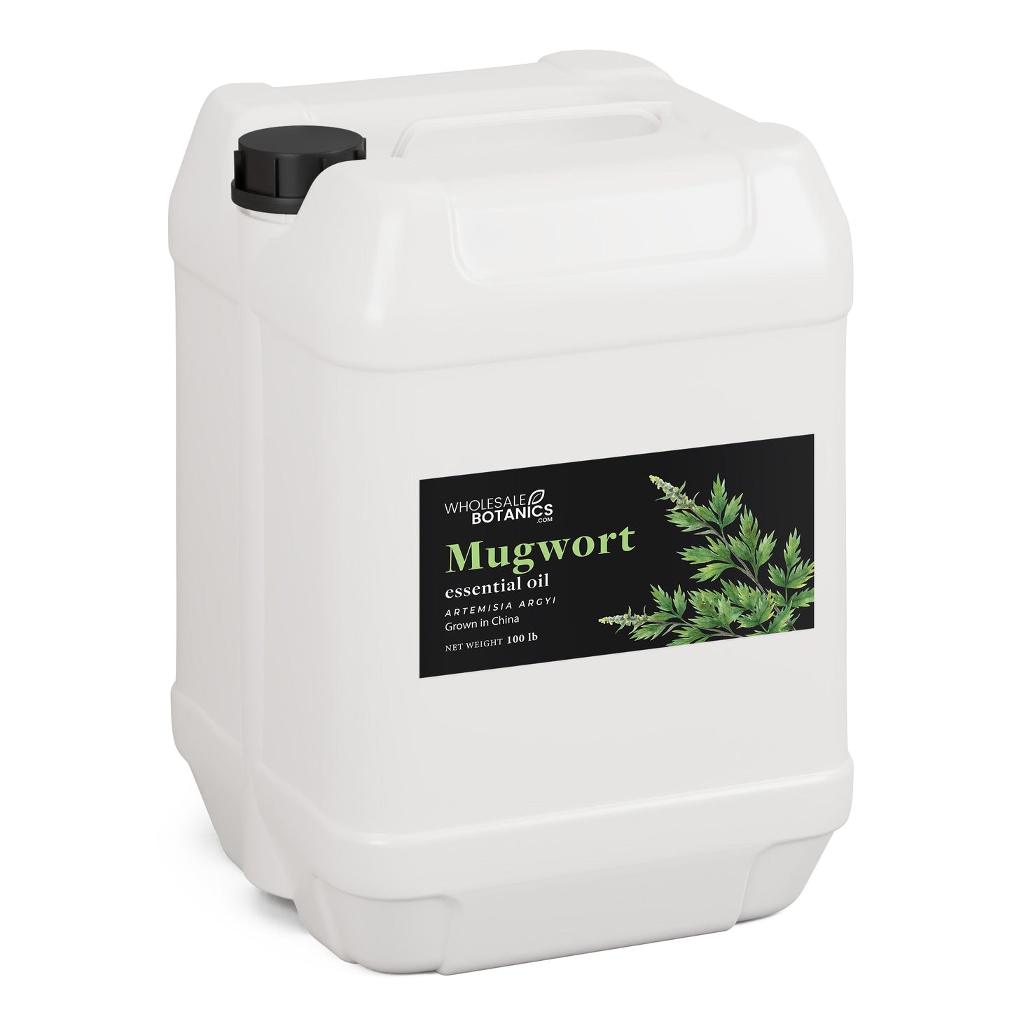 Mugwort Essential Oil