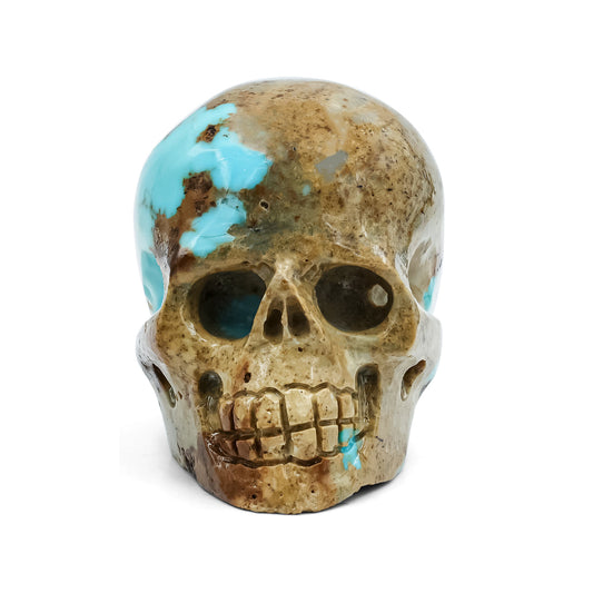 Hand Carved New Arizona Turquoise Skull Carving 172.5 cts - 1 Piece