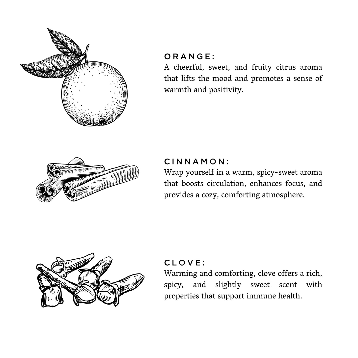Orange + Clove - 3-Wick Candle