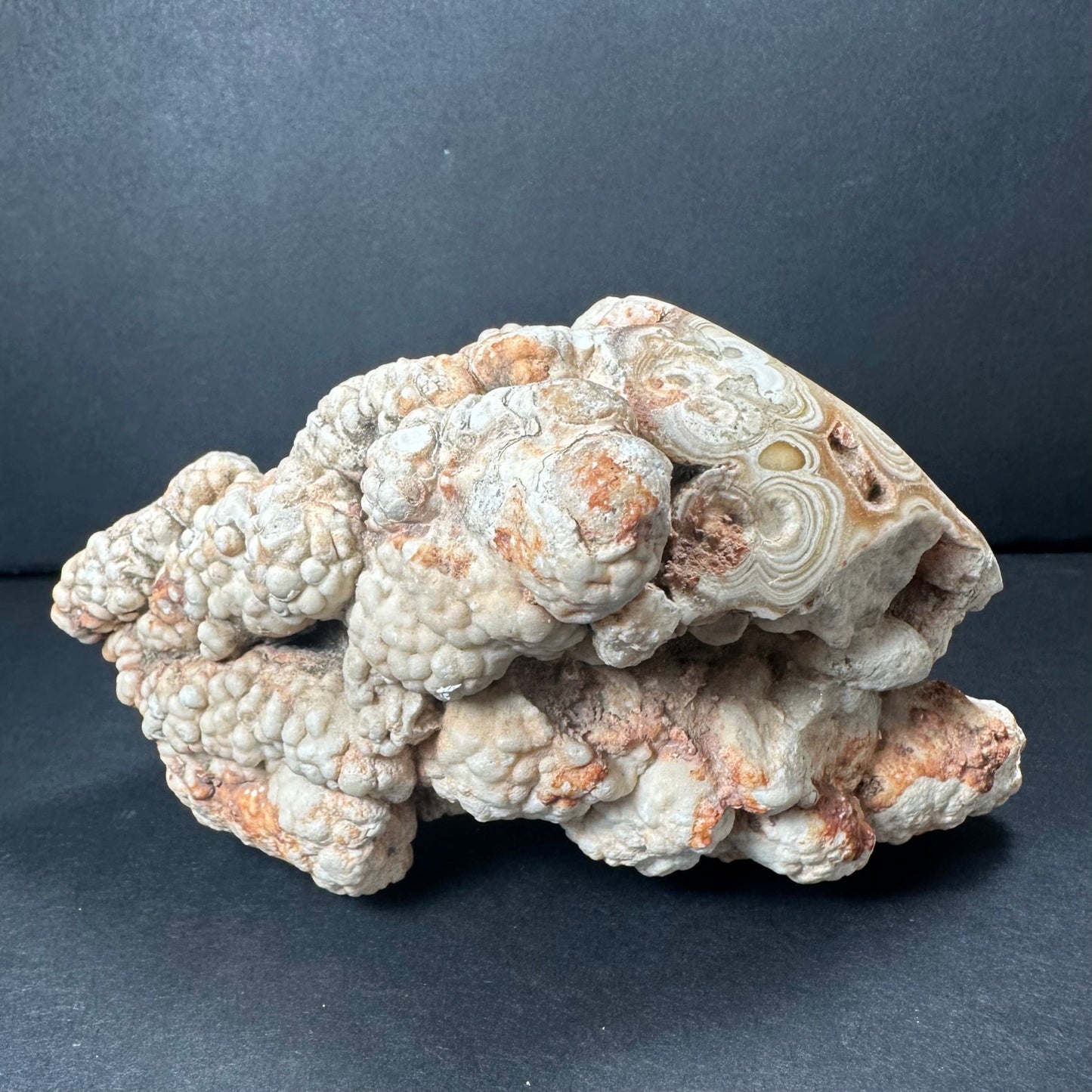 Cave Onyx Stalactite Kokoweef Cavern, Calico California