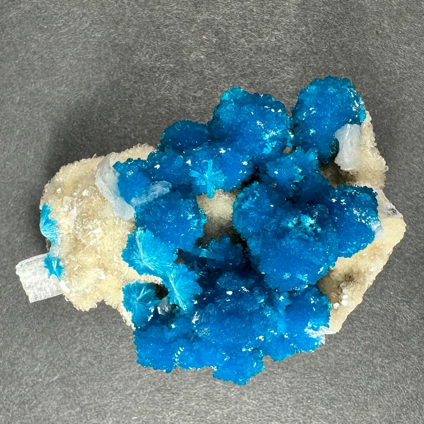 Cavansite with White Stilbite on Matrix from Maharashtra, Pune, India