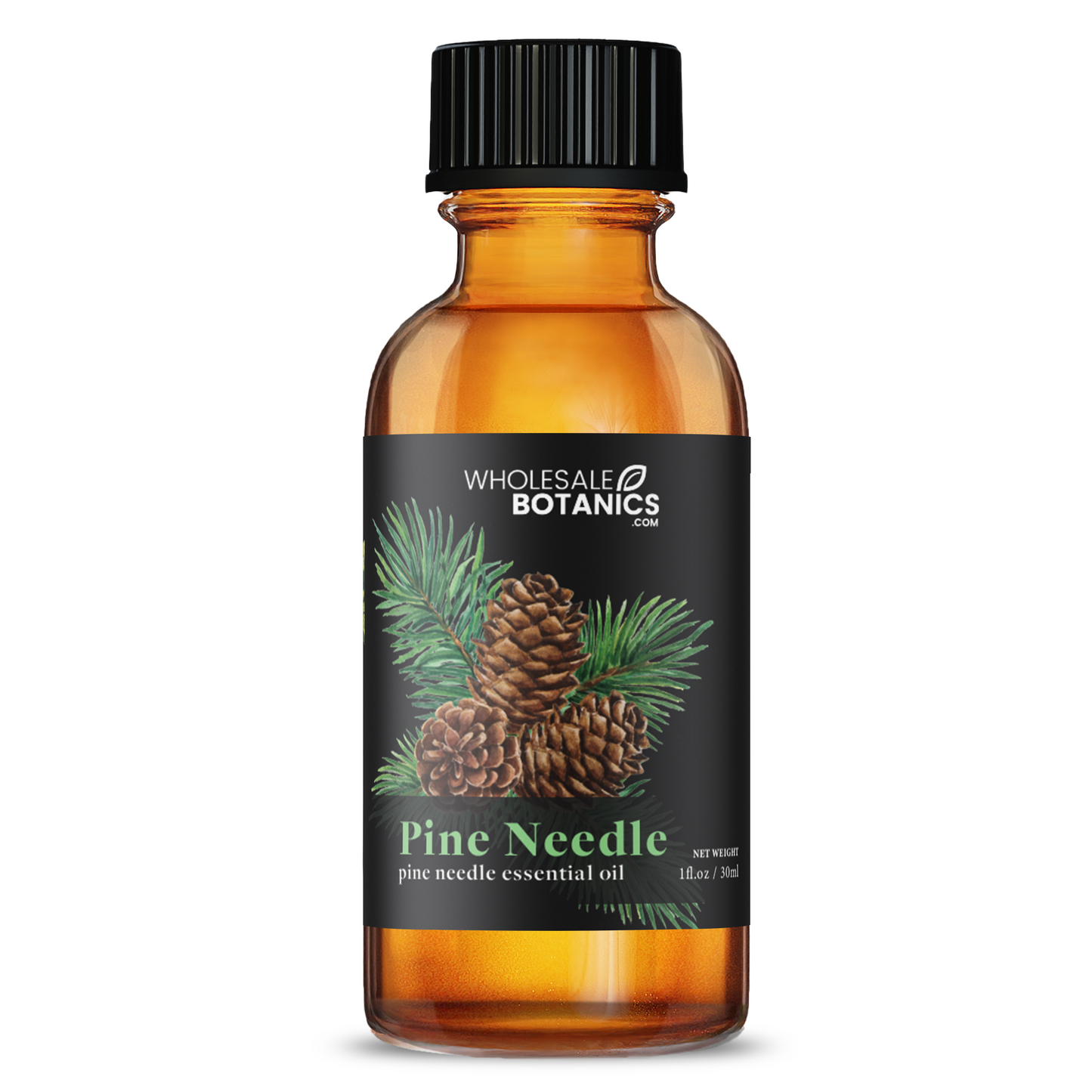 Pine Needle Essential Oil