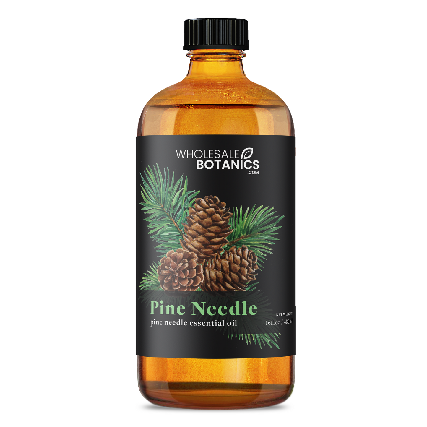 Pine Needle Essential Oil