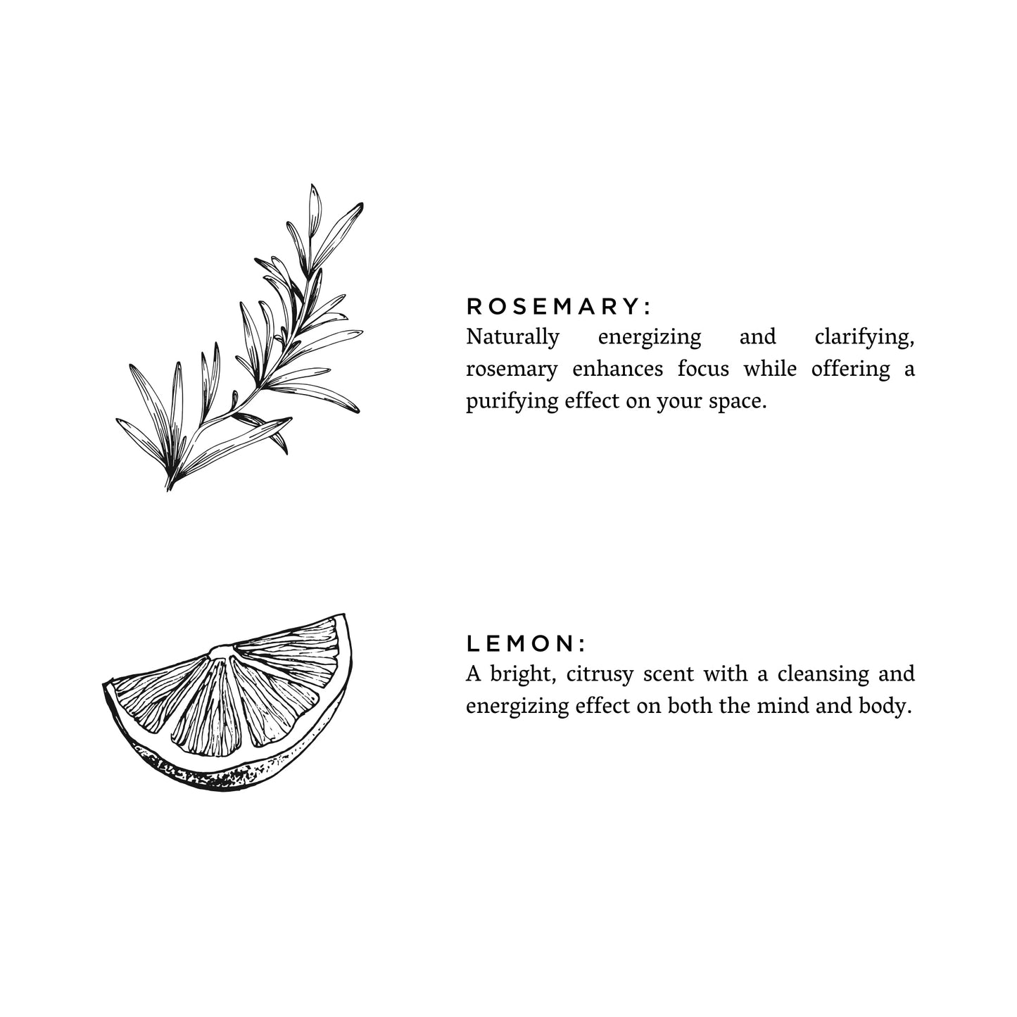 Rosemary + Lemon - 3-Wick Candle
