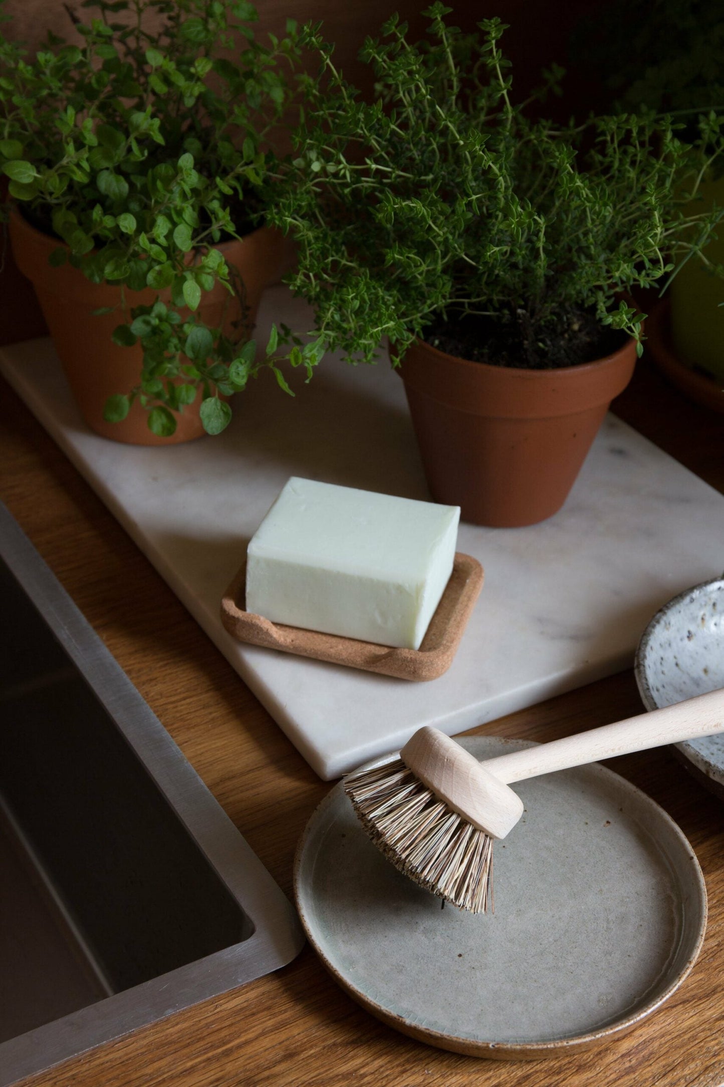 Solid DISH SOAP - Sage Basil
